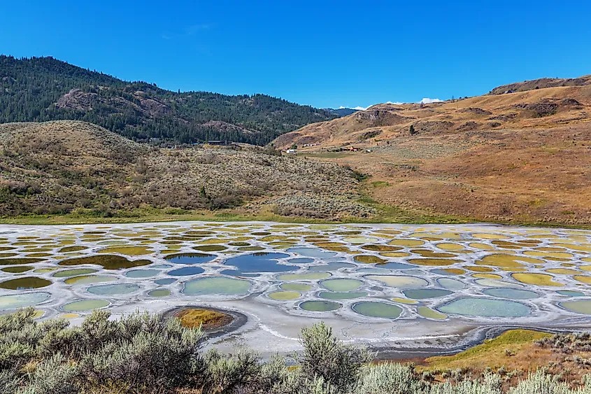 Spotted Lake in British Columbia, Canada