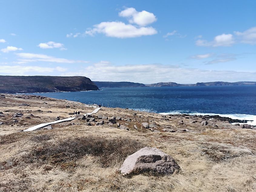 A windswept tundra shoreline near the Atlantic Ocean