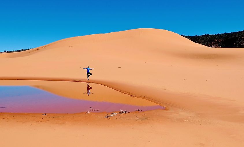 Coral Pink Sand Dunes State Park, Utah.