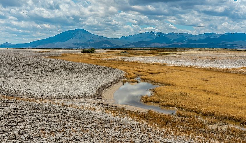 Water On Salt Flats in Alvord Desert near Borax Lake - Oregon Outback Landscape