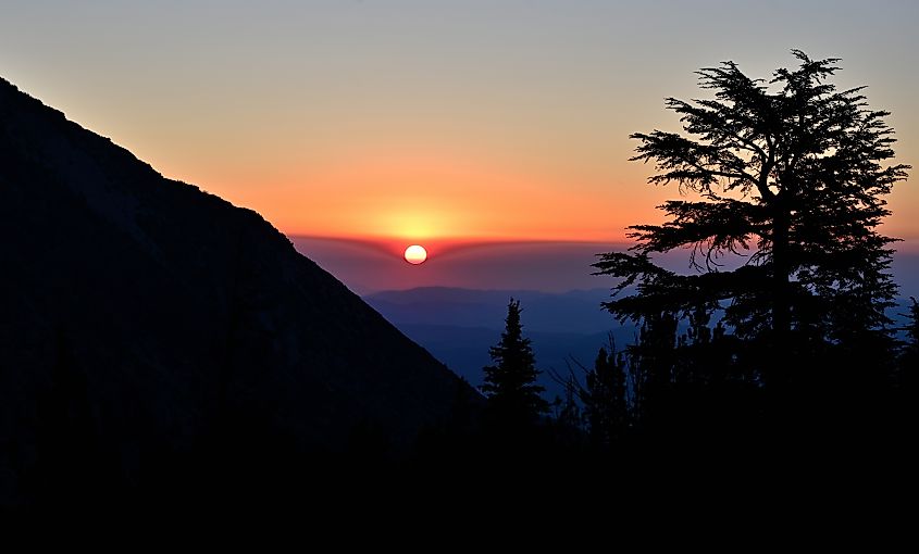 Sunrise along the Tahoe Rim Trail in the Humboldt-Toiyabe National Forest of Nevada.