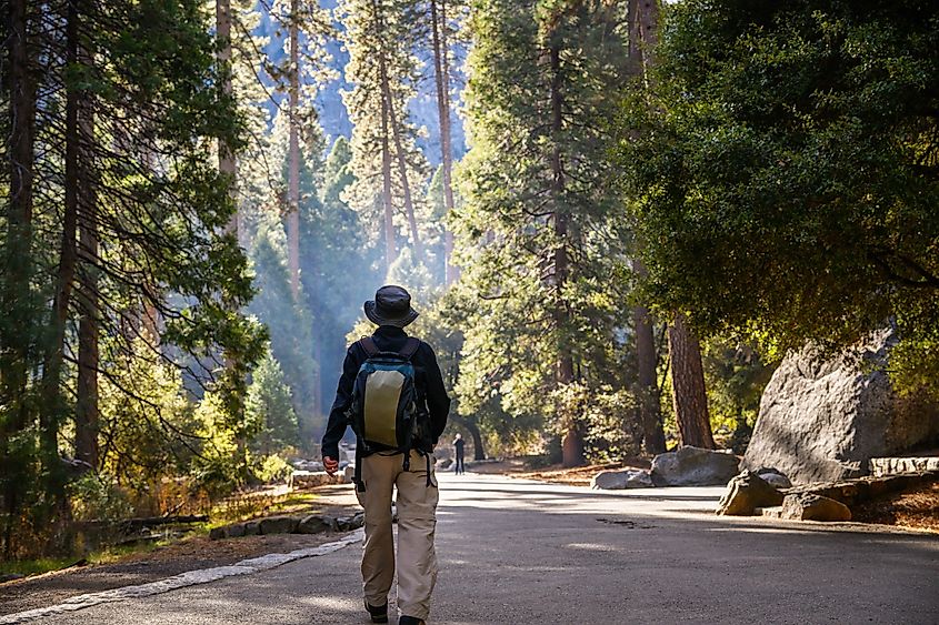 Man hiking Lower Yosemite Fall trail.