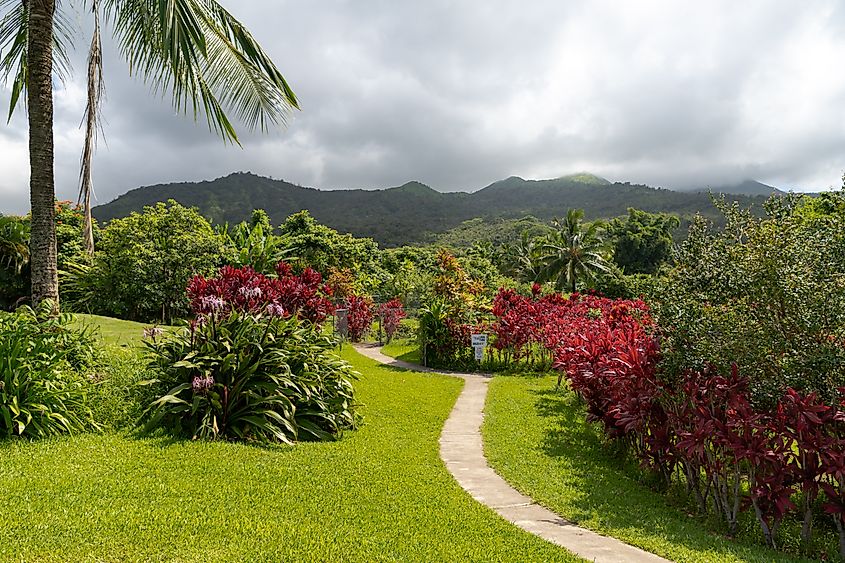 A beautiful garden in Hana, Hawaii.