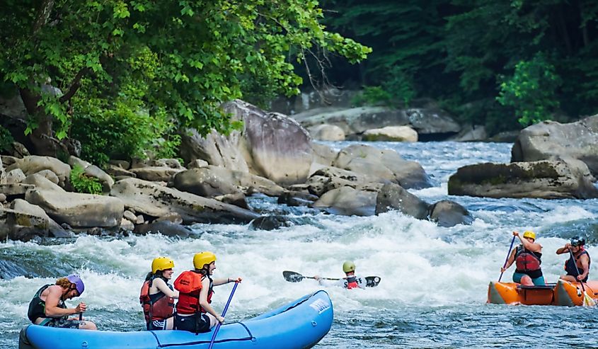 Rafters on Lower Youghiogheny River at Cucumber Rapid in Ohiopyle. 