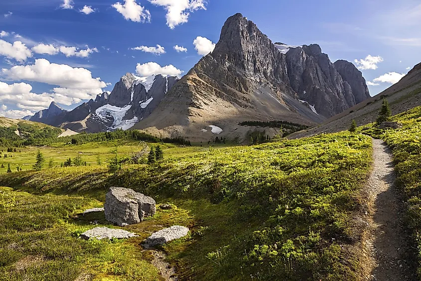 Green Alpine Meadows and Rockwall Mountain Cliffs