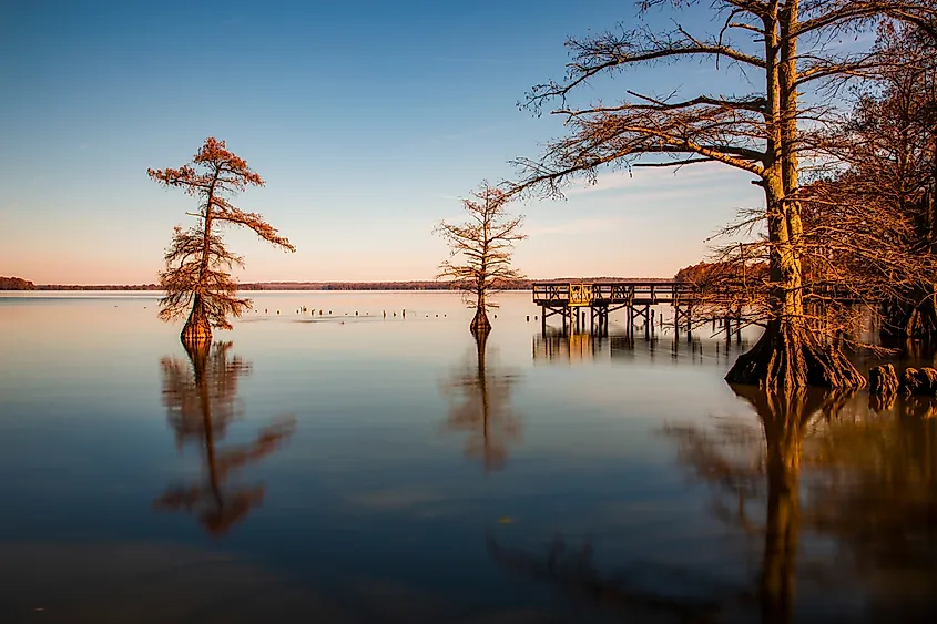 Landscapes of Reelfoot Lake Tennessee.