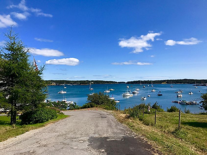 A walkway in Swan's Island, Maine