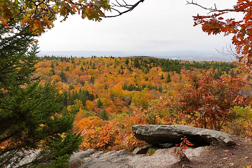 Fall colors in Mount Greylock State Reservation, Massachusetts