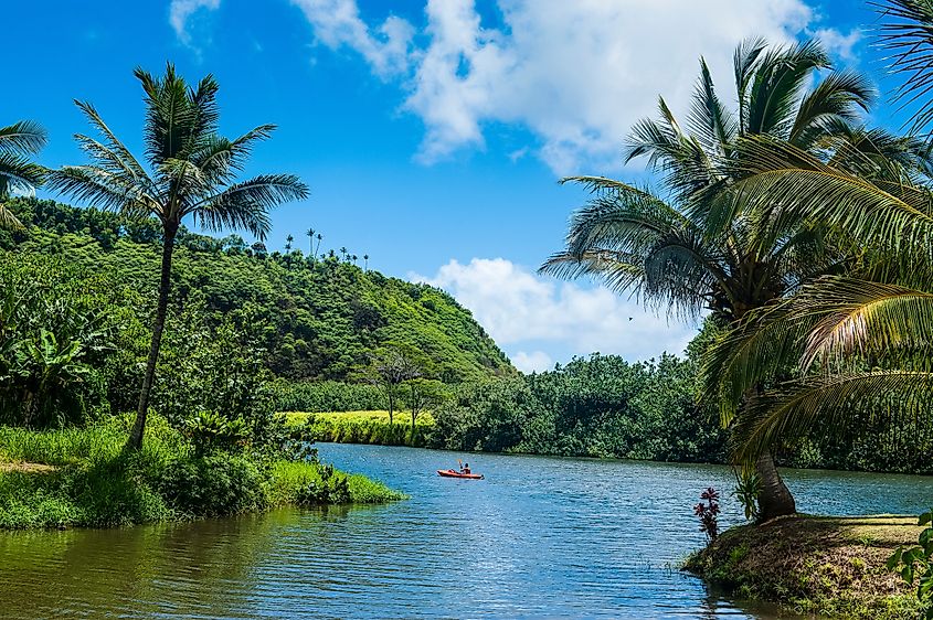 Wailua River. Kauai, Hawaii, United States of America, Pacific. Robert Harding Video via Shutterstock