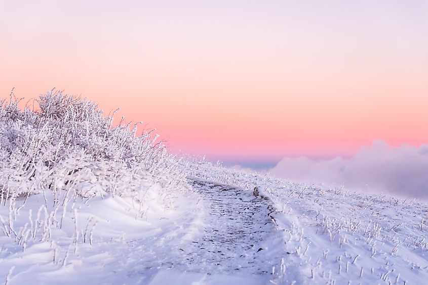 An amazing morning alpenglow along the Appalachian Trail on Round Bald on the Tennessee side of the Roan Highlands.