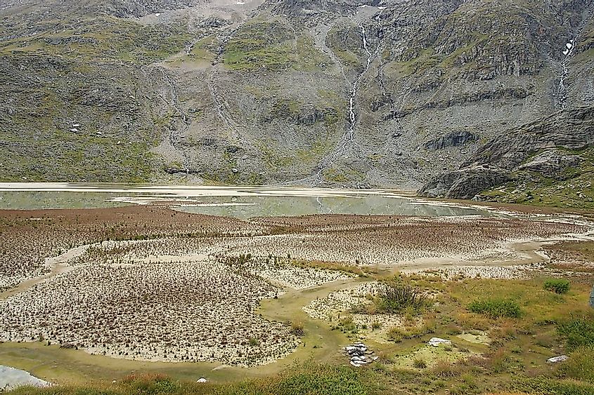The landscape illustrating ecological succession on the former glacier lake.
