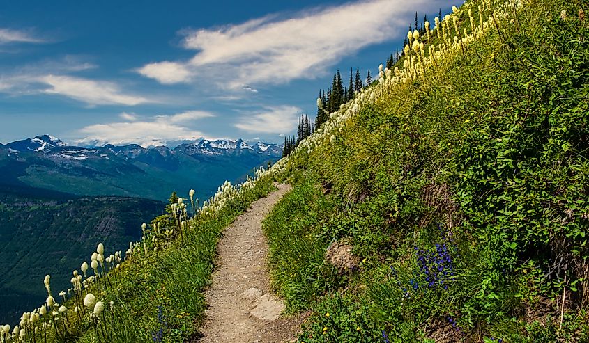 Distant view of the mountain Peaks of Glacier National Park, Montana as seen from the Highline Trail