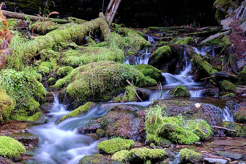 Fern Falls in Idaho