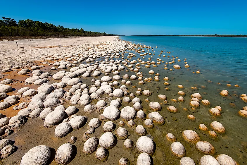 Lake Clifton Thrombolites, Western Australia.