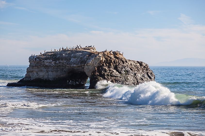 Natural Bridges State Beach is a 65-acre California state park in Santa Cruz, California. Via Shutterstock / Mariusz S. Jurgielewicz