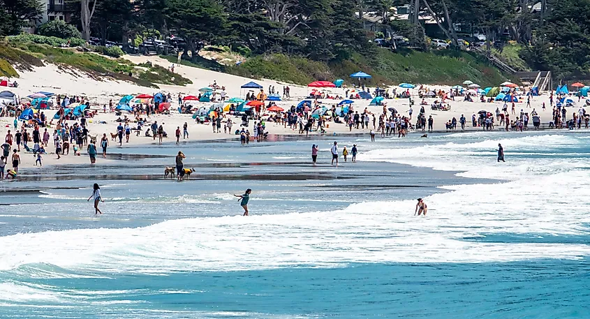 Carmel Beach at Carmel by the Sea