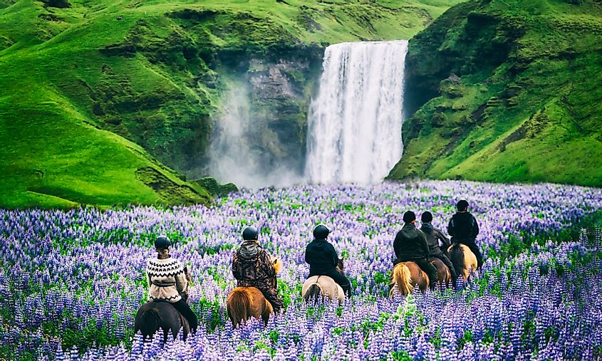 Iceland tourism