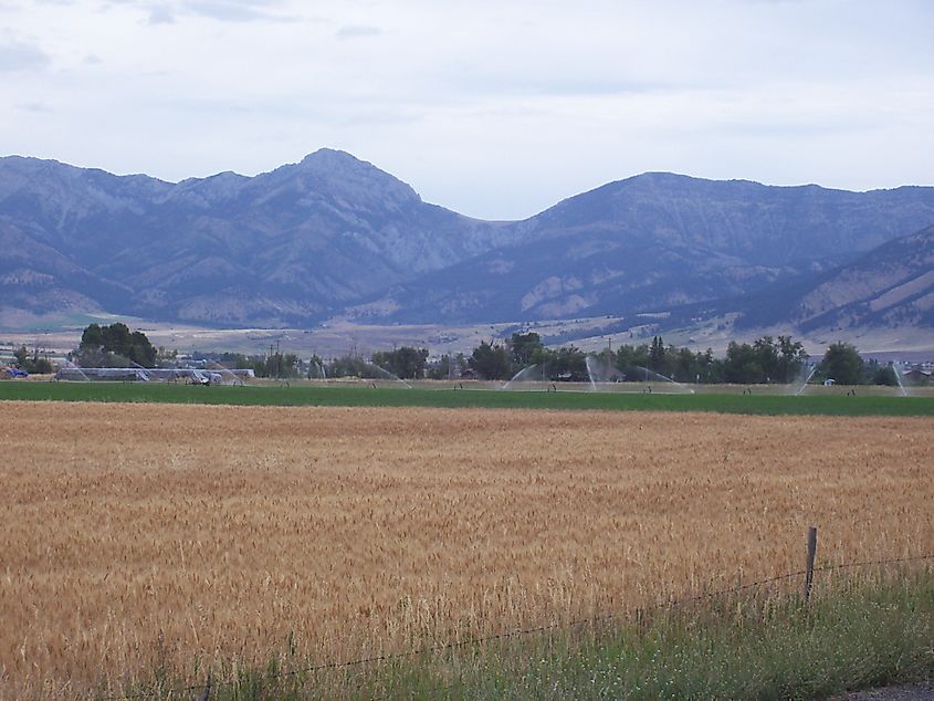 The Bridger Mountains just outside Belgrade BelgradeBobcat - I BelgradeBobcat t