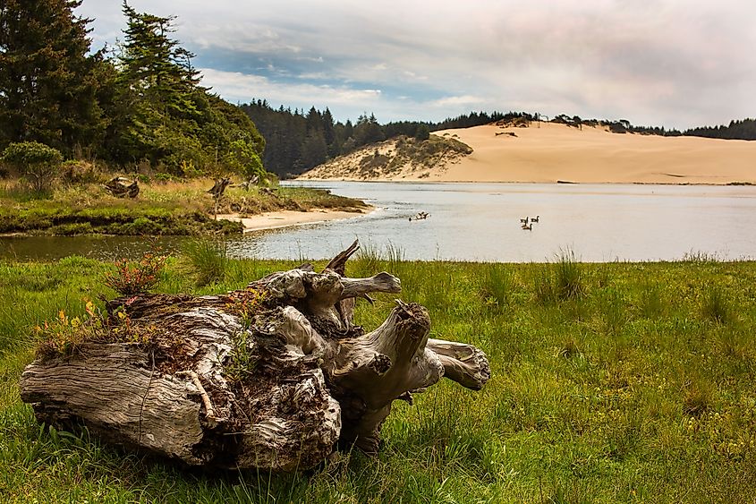 Exploding Whale Memorial Park at Florence, Oregon.