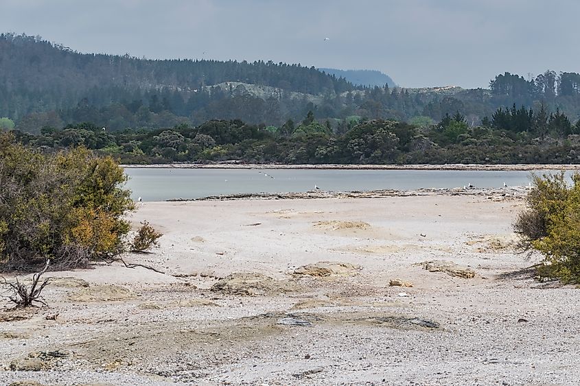 Lake Rotorua in Rotorua, Bay of Plenty Region, North Island of New Zealand