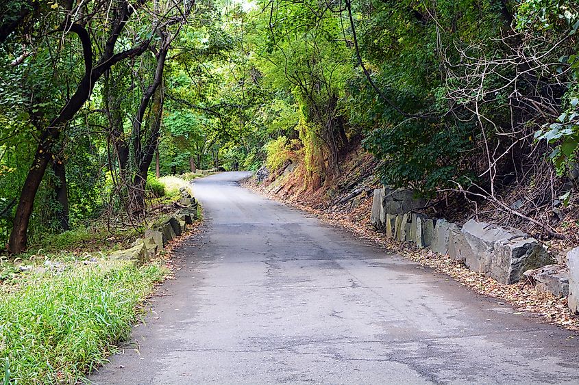 Henry Hudson Drive - Road Through the Woods of Palisade Interstate Park In New Jersey