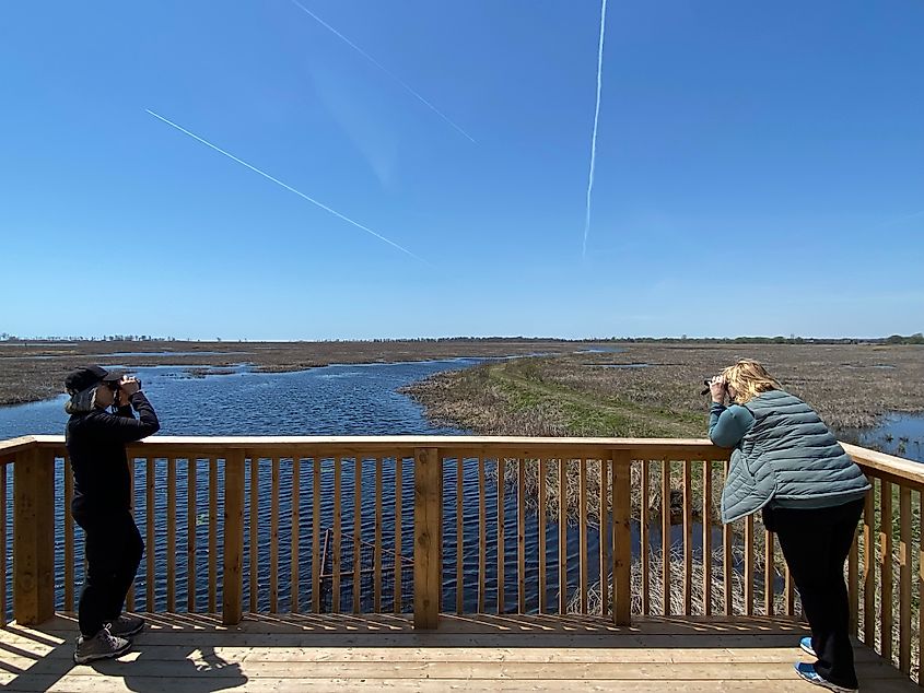 Two women with binoculars standing atop a wetland viewing platform