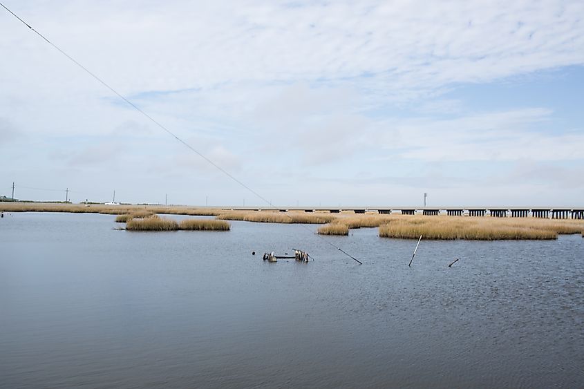 The Isle de Jean Charles water levels rising. Credit: Frank McMains/ Shutterstock.com