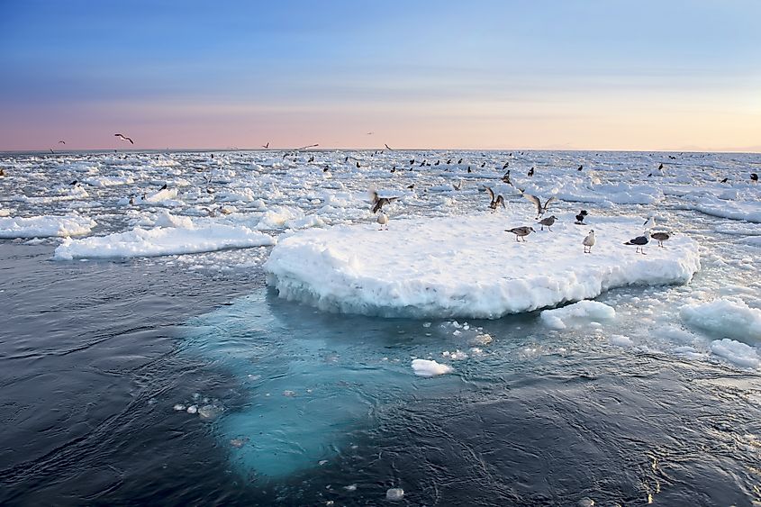 Drift Ice in shiretoko, Hokkaido, Japan