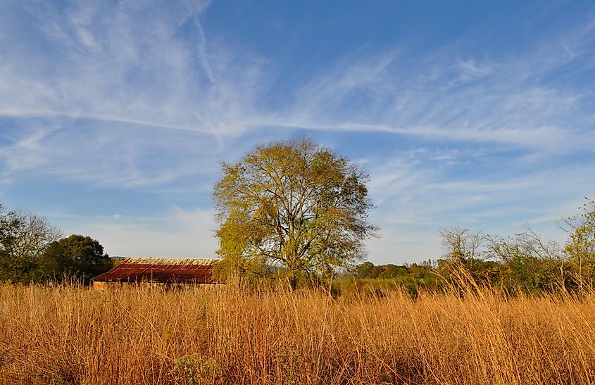 A birding trail in Paint Rock, Alabama.