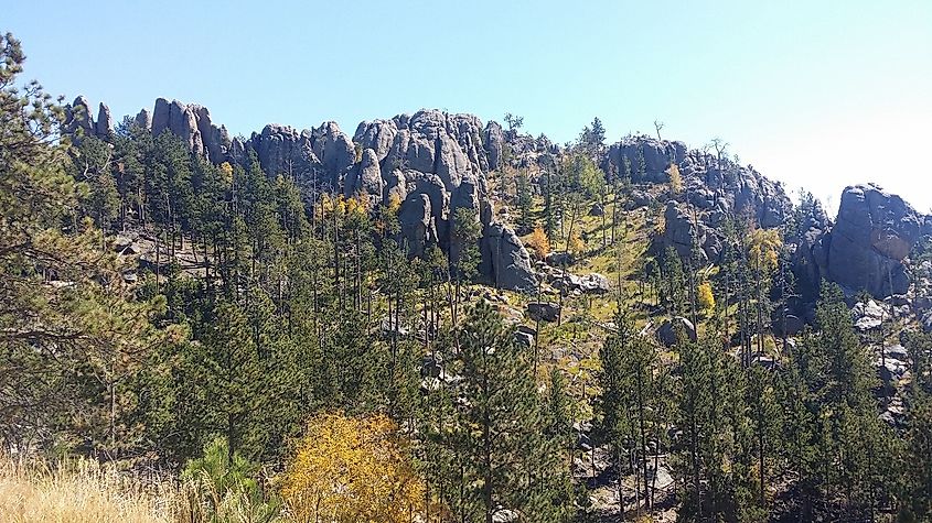 Black Hills National Forest, South Dakota