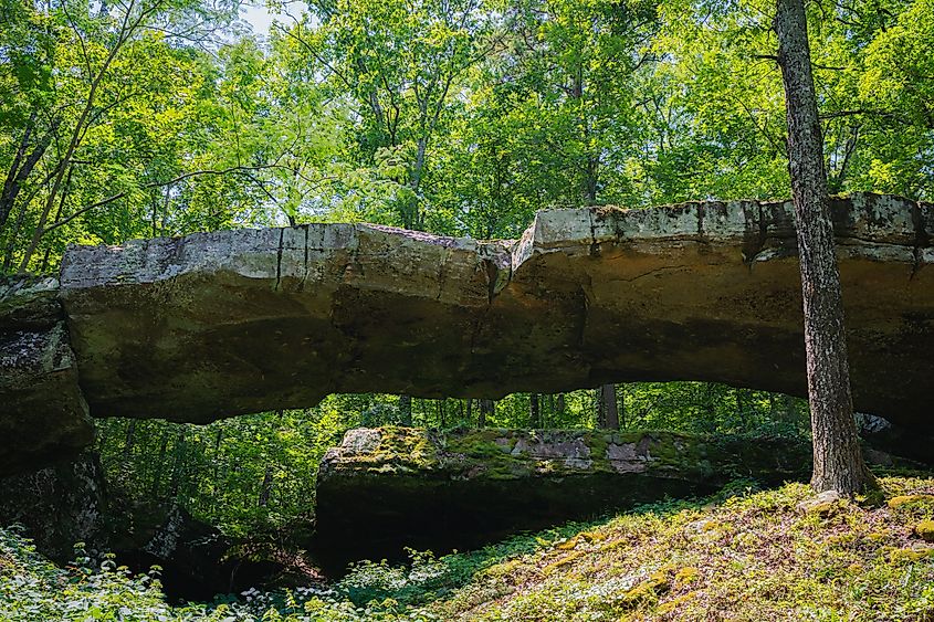 The Natural Bridge Of Arkansas in Marshall, Arkansas.