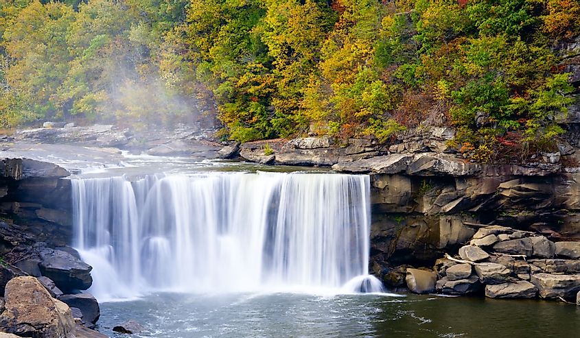 Cumberland Falls with evergreens turning yellow in fall