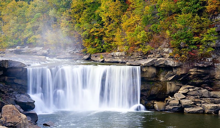 Cumberland Falls with evergreens turning yellow in fall