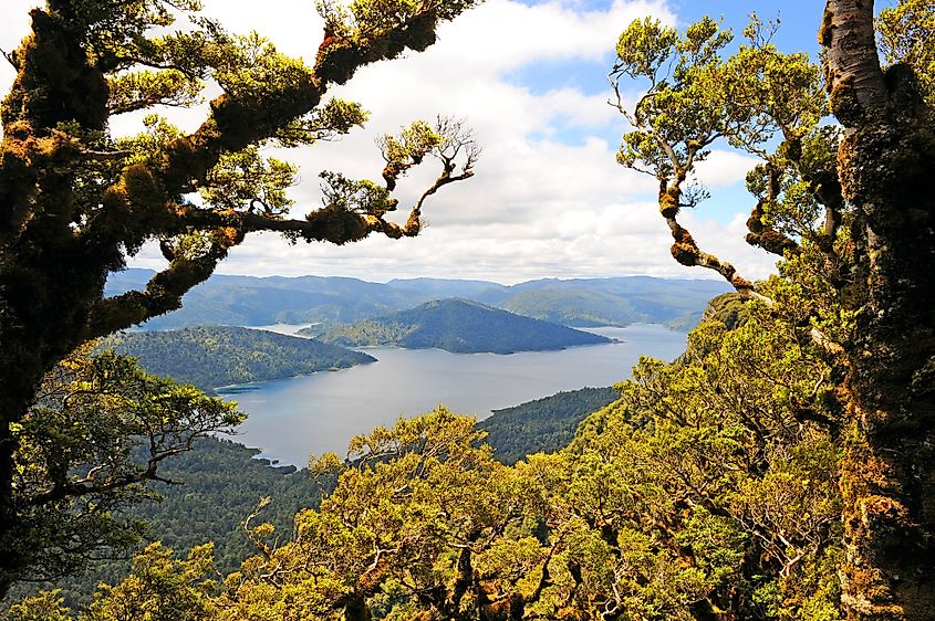 Lake Waikaremoana Great Walk, New Zealand