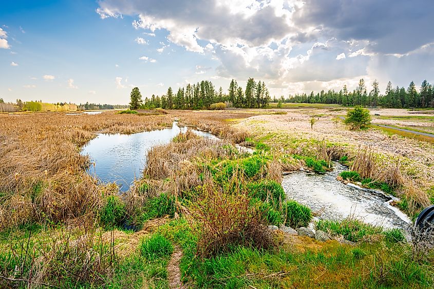 View of Winslow Pool from the 1.6 mile Pine Lake Loop trail at the 23,000 acre Turnbull National Wildlife Refuge in Cheney, Washington