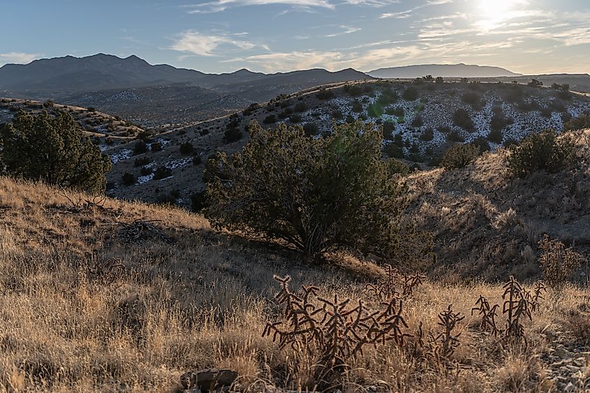 Cerrillos Hills State Park near Madrid, New Mexico.