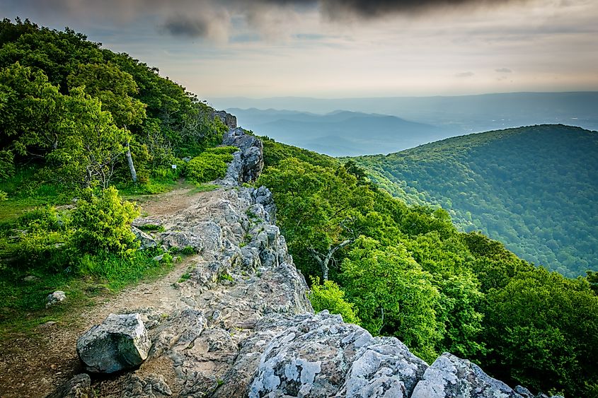 View from the Hawksbill Mountain, Virginia.