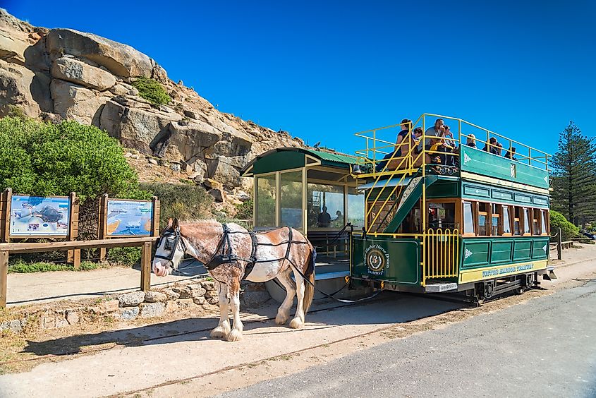 Horse-drawn tourist tram in Victor Harbor, South Australia