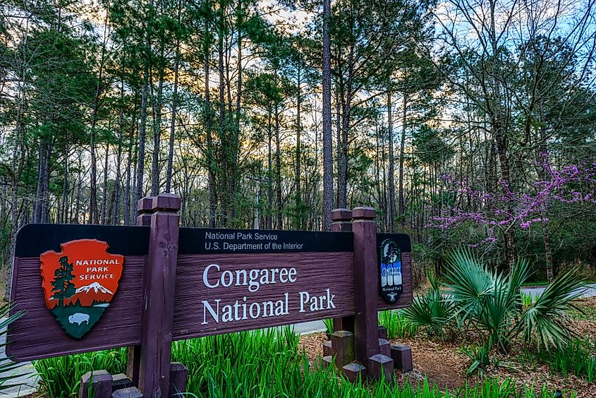 Entrance to the Congaree National Park, South Carolina