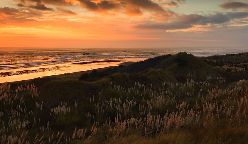 Sunset, ocean beach, kawhia, north island, new zealand, pacific