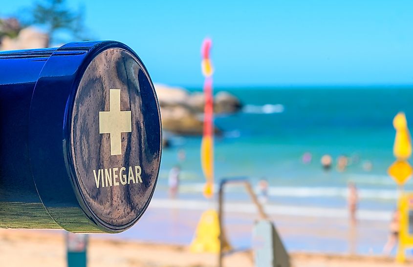 A vinegar station on the beach for treating a marine stinger or jellyfish sting.