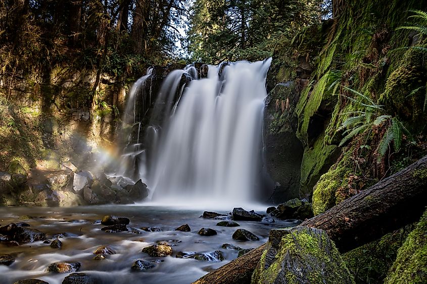 McDowell Creek Waterfalls Lebanon, Oregon.