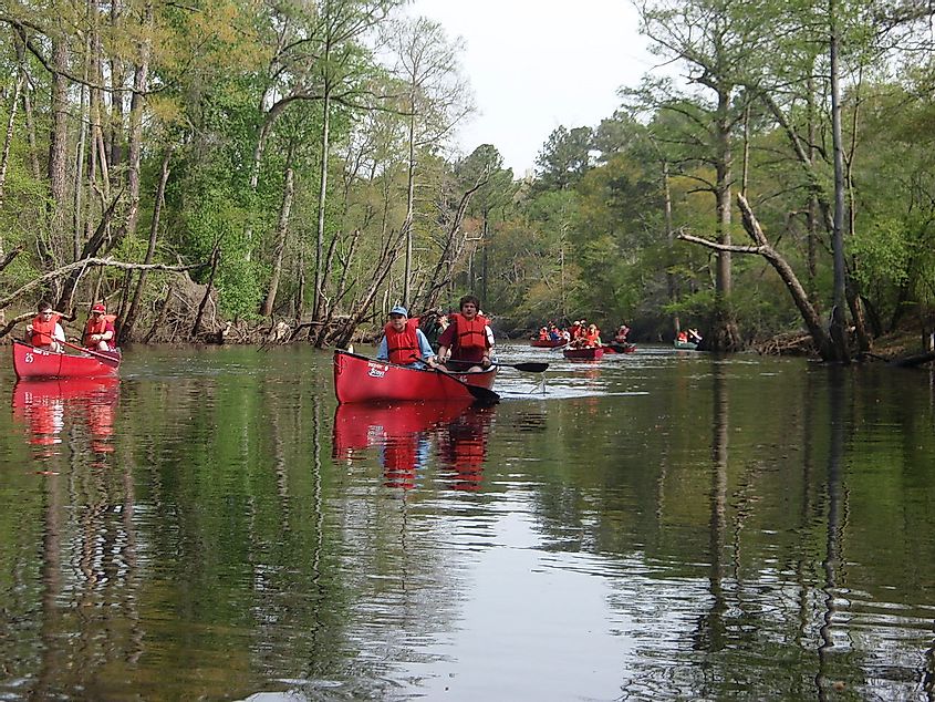 Boy Scouts canoeing on the Blackwater River, Virginia