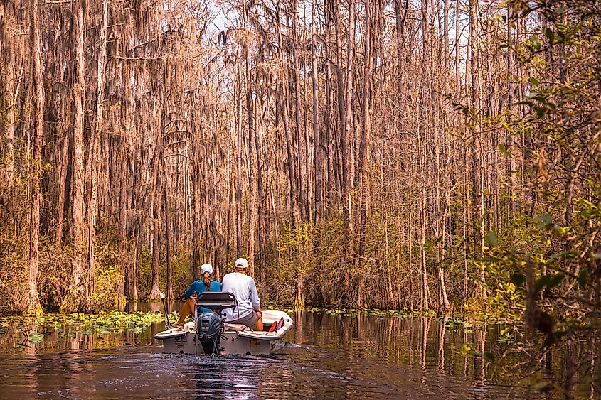 Visitors boating in the Okefenokee Swamp, Georgia
