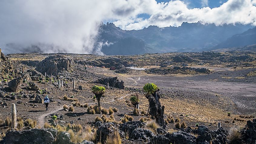 Mount Kenya