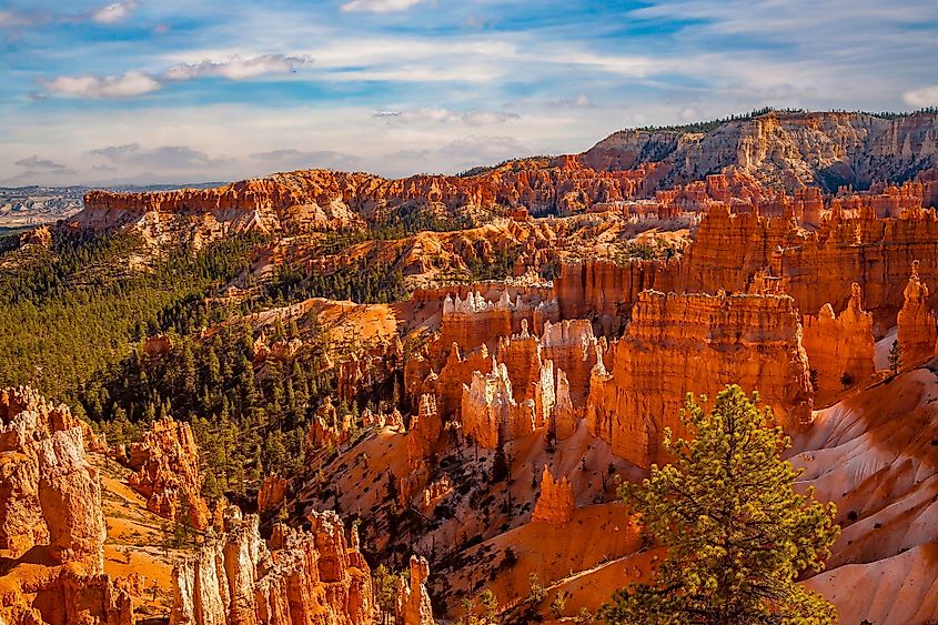 Bryce Canyon National Park, located in southwestern Utah.
