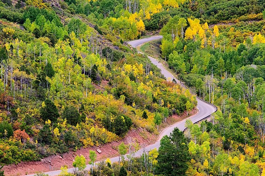 Breathtaking Top View of Fall Colors in La Sal Mountain near Moab, Utah,