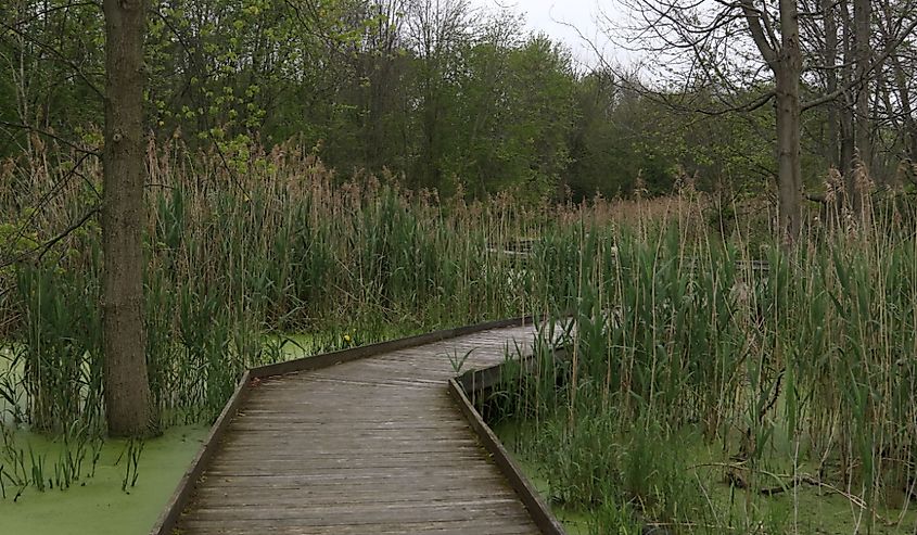 Boardwalk at Maumee Bay State Park, Ohio