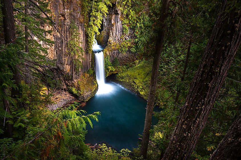 Toketee Falls, Oregon