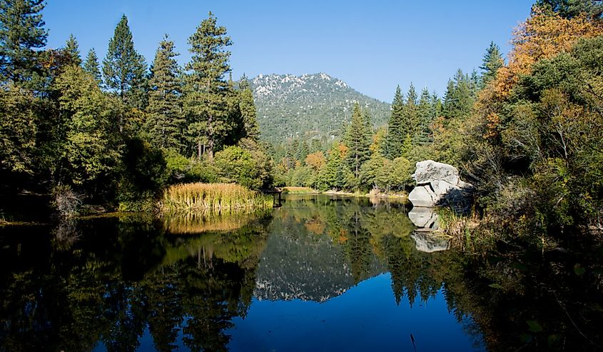 Reflective lake in Idyllwild, CA